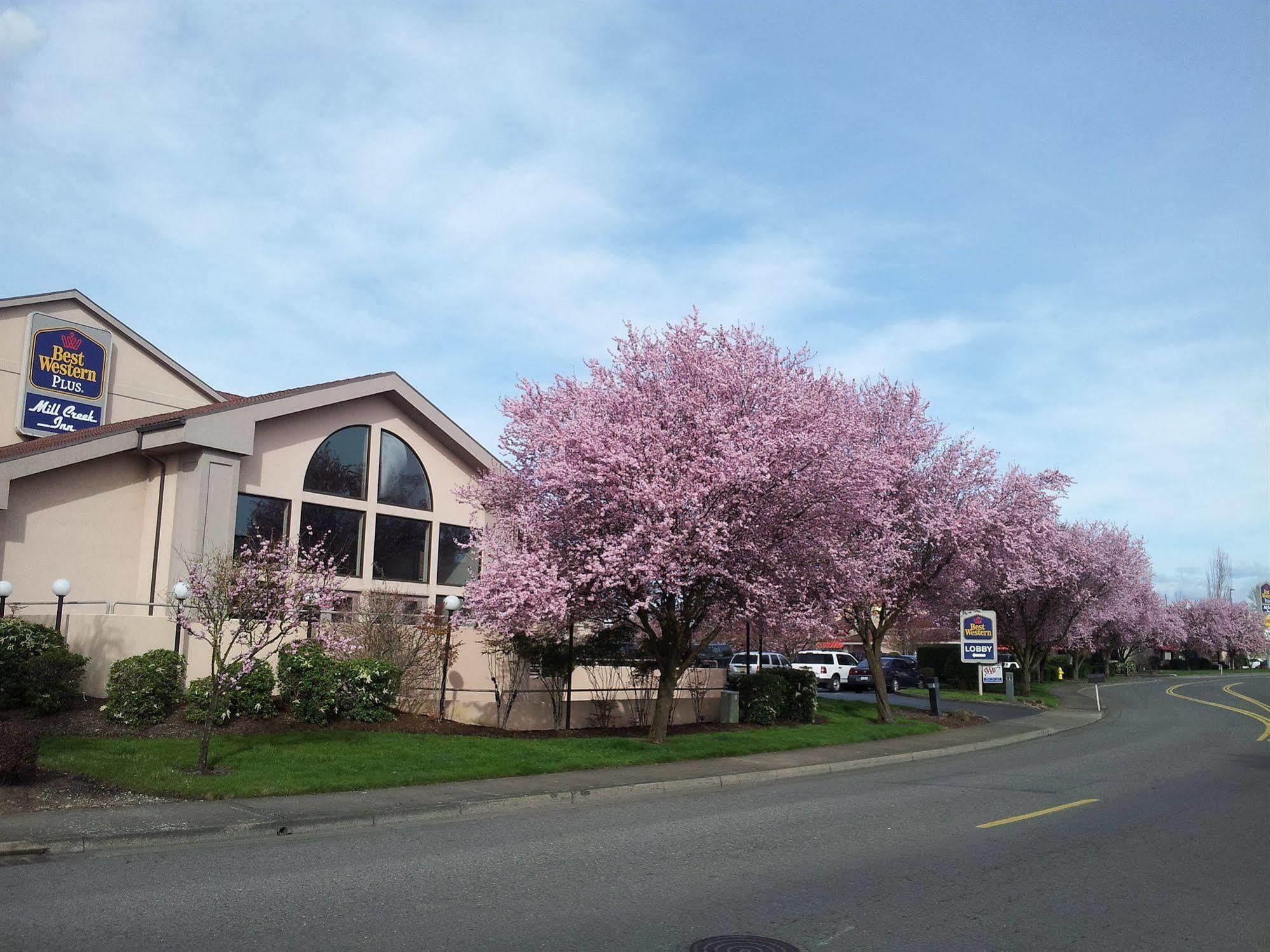 Best Western Plus Mill Creek Inn Salem Exteriér fotografie